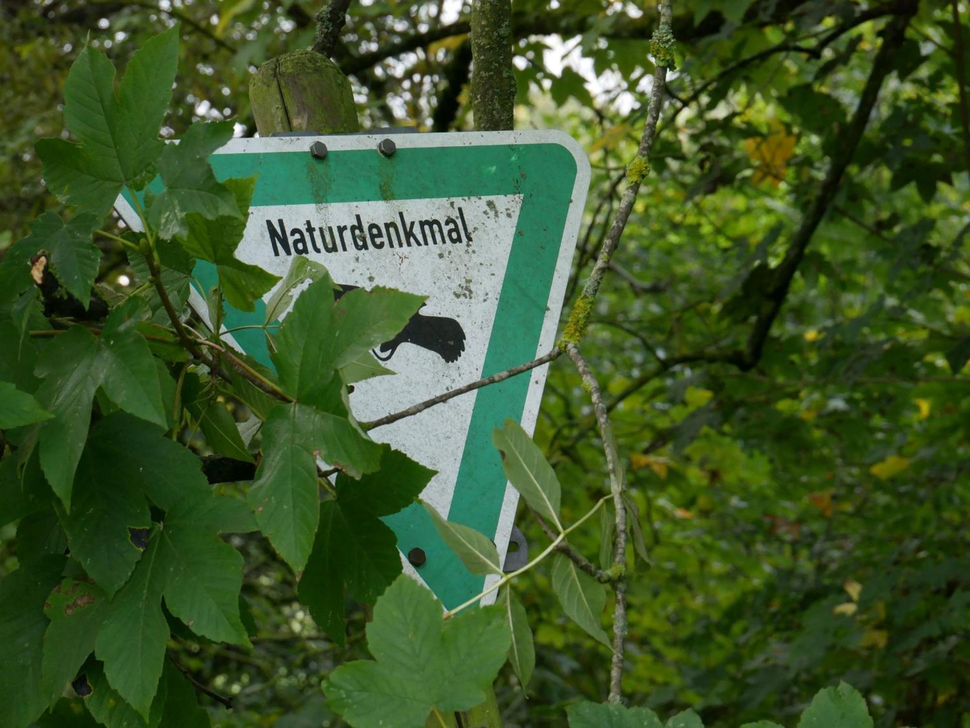 Ferienwohnungen Knodel Sachsenheim Eksteriør billede